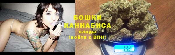 спайс Богданович