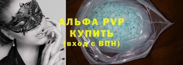 спайс Богданович