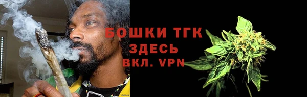 спайс Богданович
