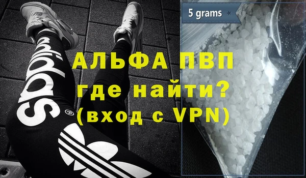 спайс Богданович