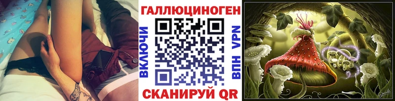 как найти наркотики  Туапсе  Псилоцибиновые грибы GOLDEN TEACHER 